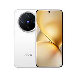 Vivo X200 Pro Mini