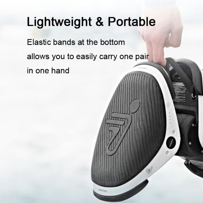 Ninebot Segway W1