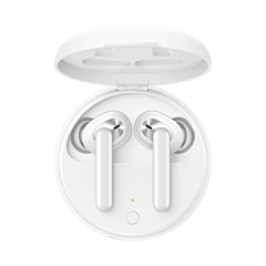 true wireless earbuds