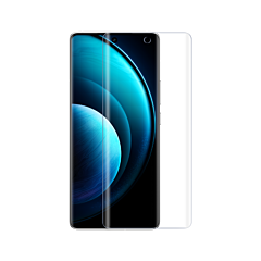 Vivo X100 screen protector