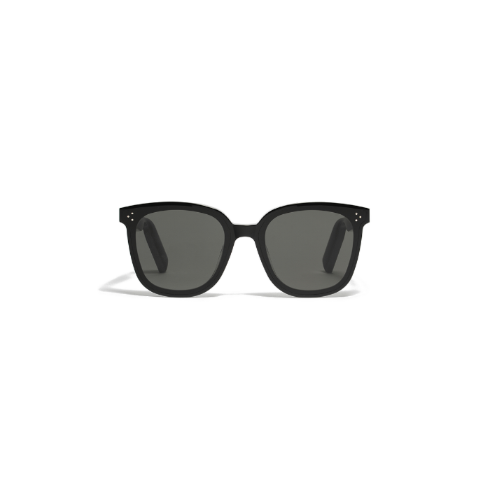 gentle monster transparent glasses